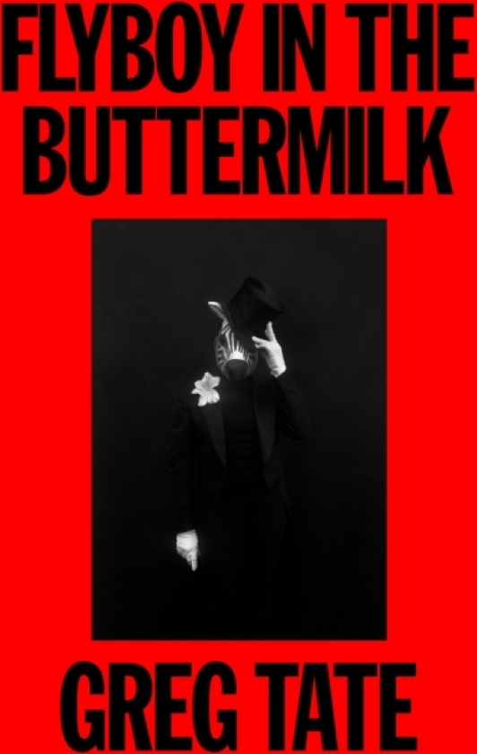 Flyboy in the Buttermilk Essays on Contemporary America