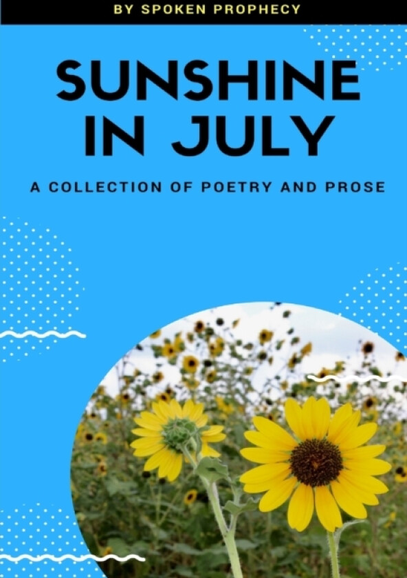 Sunshine in July av Tanaka Tava (Paperback)