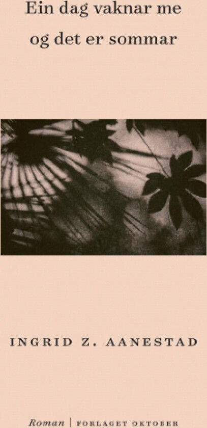 Ein dag vaknar me og det er sommar av Ingrid Z. Aanestad