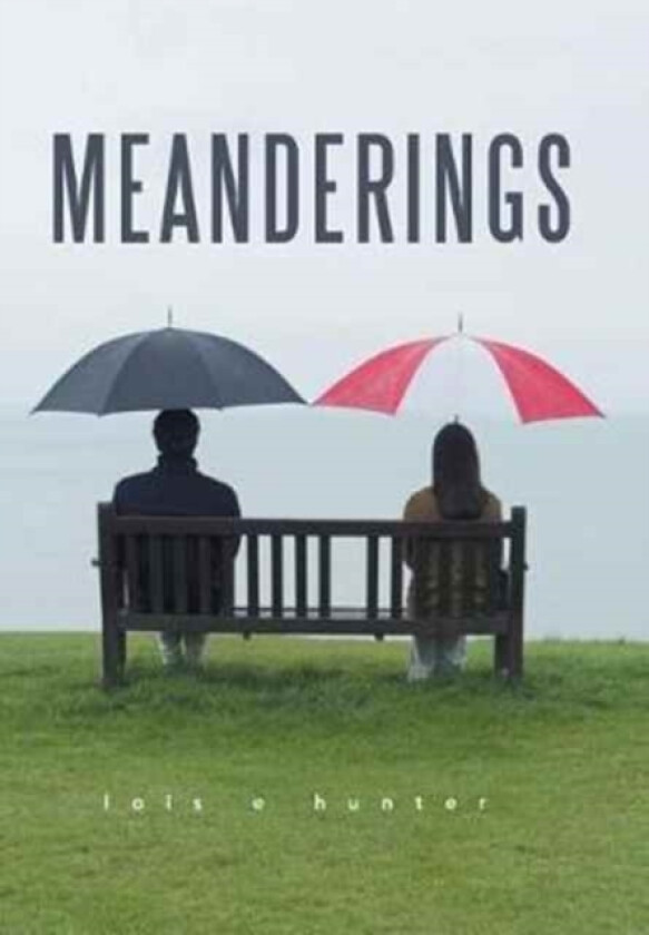 Meanderings av Lois E Hunter (Hardcover)