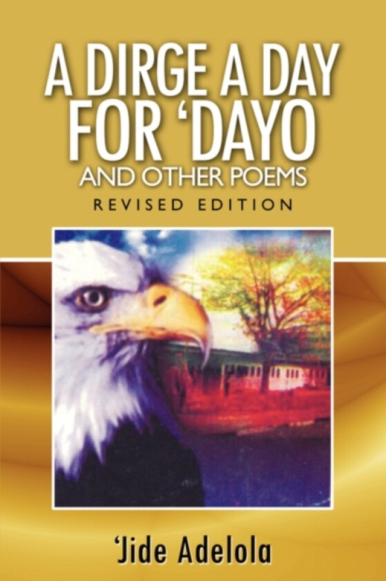 A Dirge A Day for Dayo and Other Poems av Jide Adelola (Paperback)