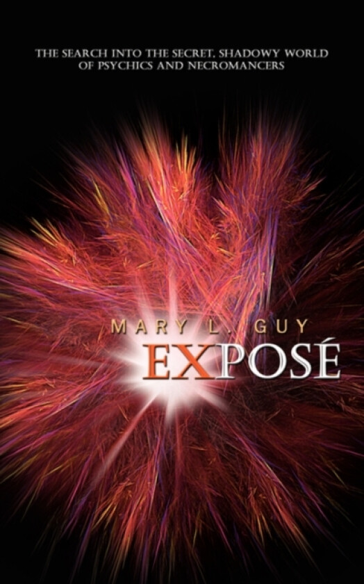 Expose av Mary L. Guy (Paperback)