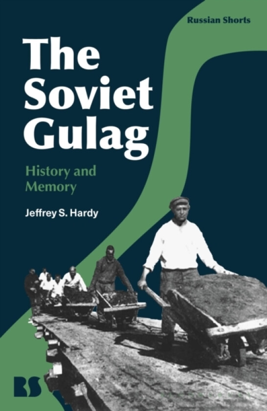 The Soviet Gulag av Associate Professor Jeffrey S. Hardy (Hardcover)