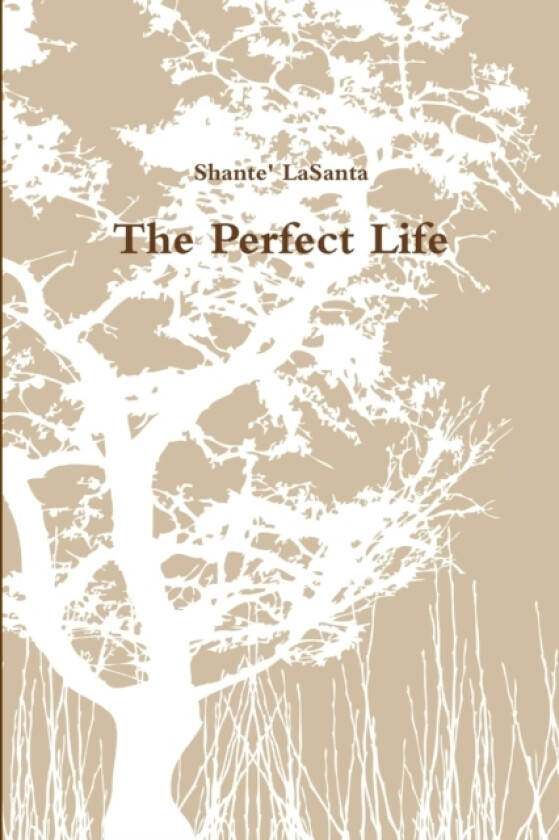 The Perfect Life av Shante' LaSanta (Paperback)
