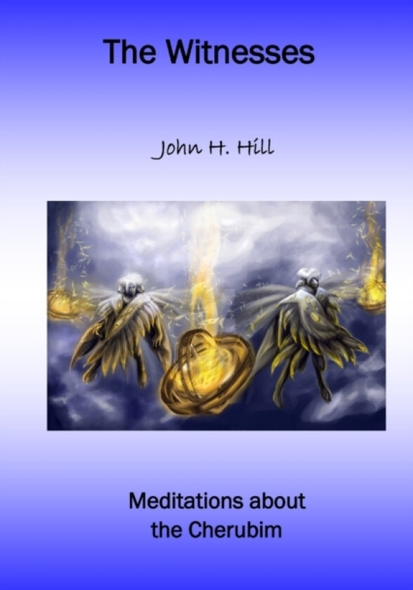 The Witnesses av John Hill (Paperback)