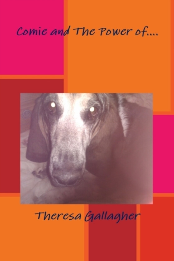 Comie and The Power of... av Theresa Gallagher (Paperback)