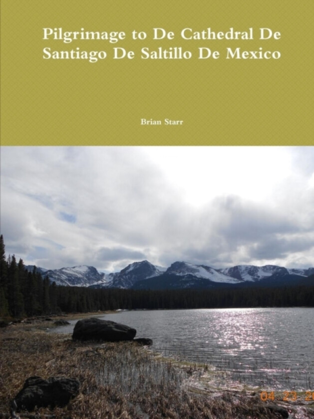 Pilgrimage to De Cathedral De Santiago De Saltillo De Mexico av Brian Starr (Paperback)