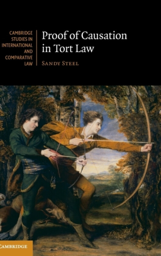 Proof of Causation in Tort Law av Sandy Steel (Hardcover)