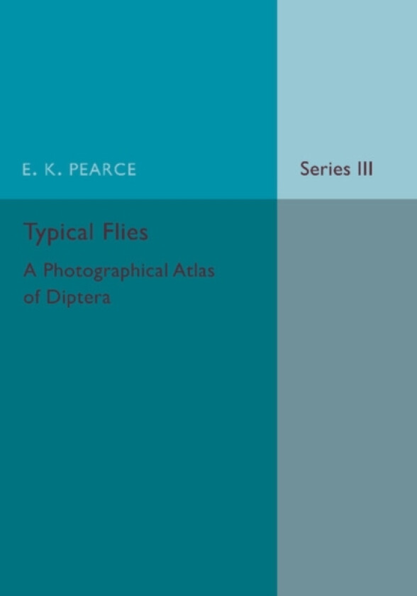 Typical Flies: Volume 3 av E.K. Pearce (Paperback)
