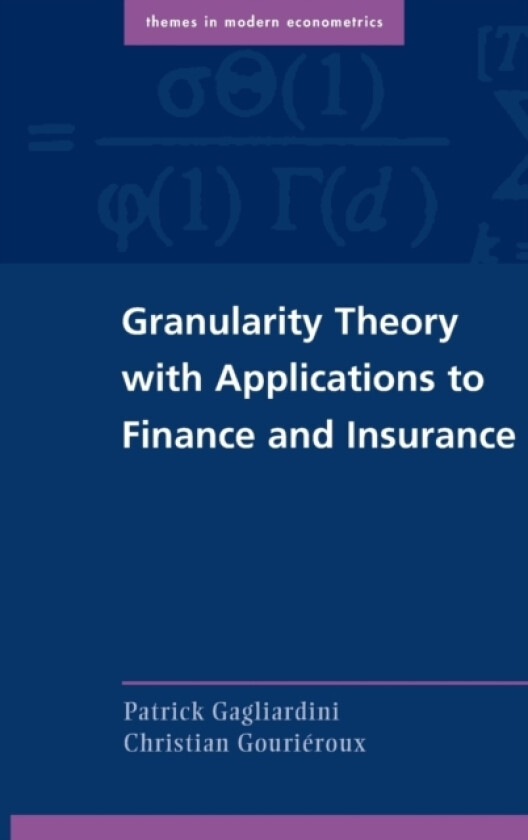 Granularity Theory with Applications to Finance and Insurance av Patrick Gagliardini, Christian Gourieroux (Hardcover)