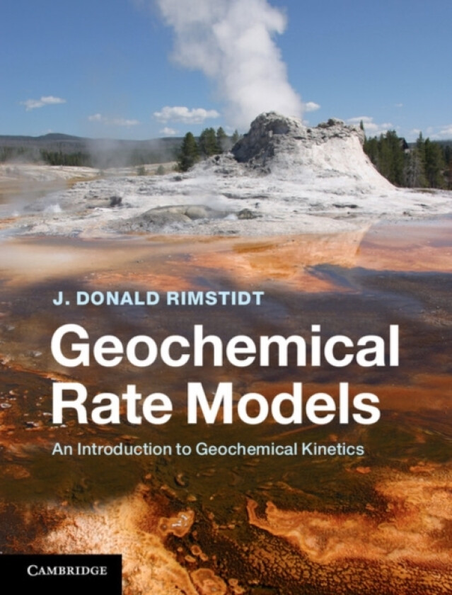 Geochemical Rate Models av J.Donald Rimstidt (Hardcover)