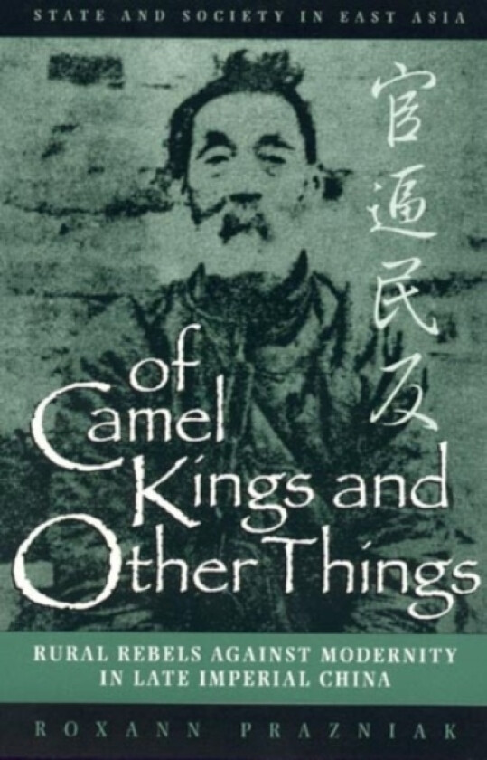 Of Camel Kings and Other Things av Roxann Prazniak (Paperback)