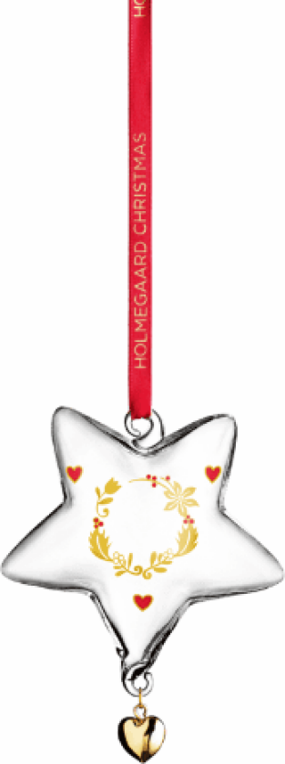 Christmas Årets Julestjerne 2023 Liten