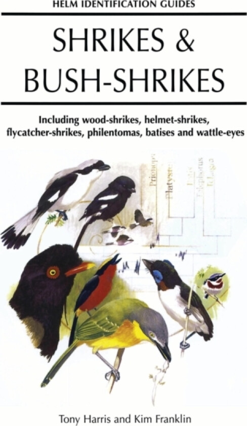 Shrikes and Bush-shrikes av Tony Harris (Hardcover)