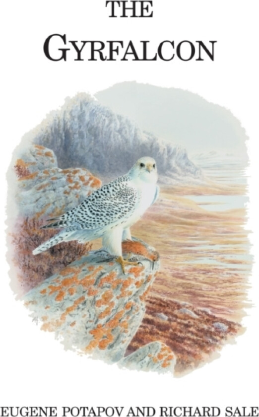 The Gyrfalcon av Eugene Potapov, Richard Sale (Hardcover)