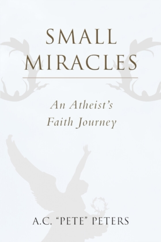 Small Miracles av A C Pete Peters (Paperback)