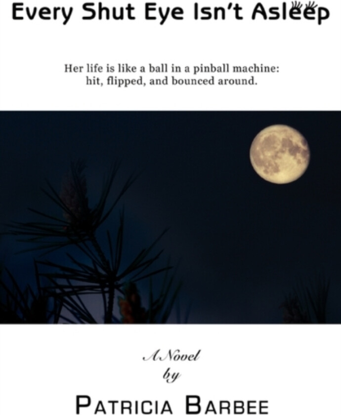Every Shut Eye Isn't Asleep av Patricia Barbee (Paperback)