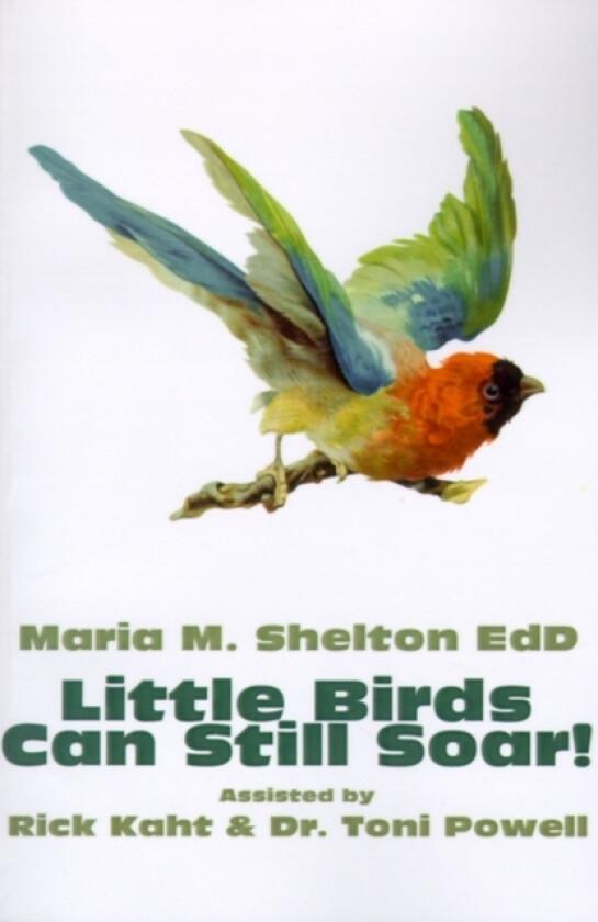 Little Birds Can Still Soar! av Maria M Shelton (Paperback)