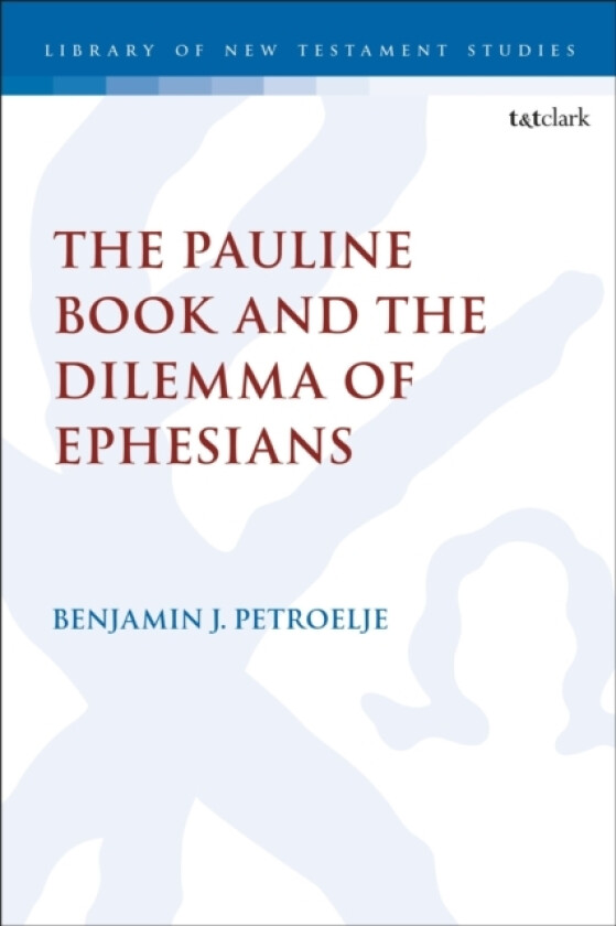 The Pauline Book and the Dilemma of Ephesians av Reverend Dr.Benjamin J. Petroelje (Paperback)