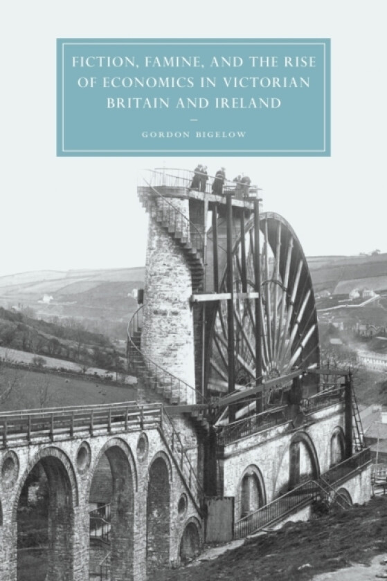 Fiction, Famine, and the Rise of Economics in Victorian Britain and Ireland av Gordon Bigelow (Paperback)