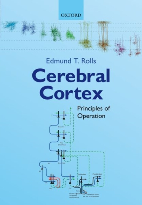 Cerebral Cortex av Edmund T. Rolls (Paperback)