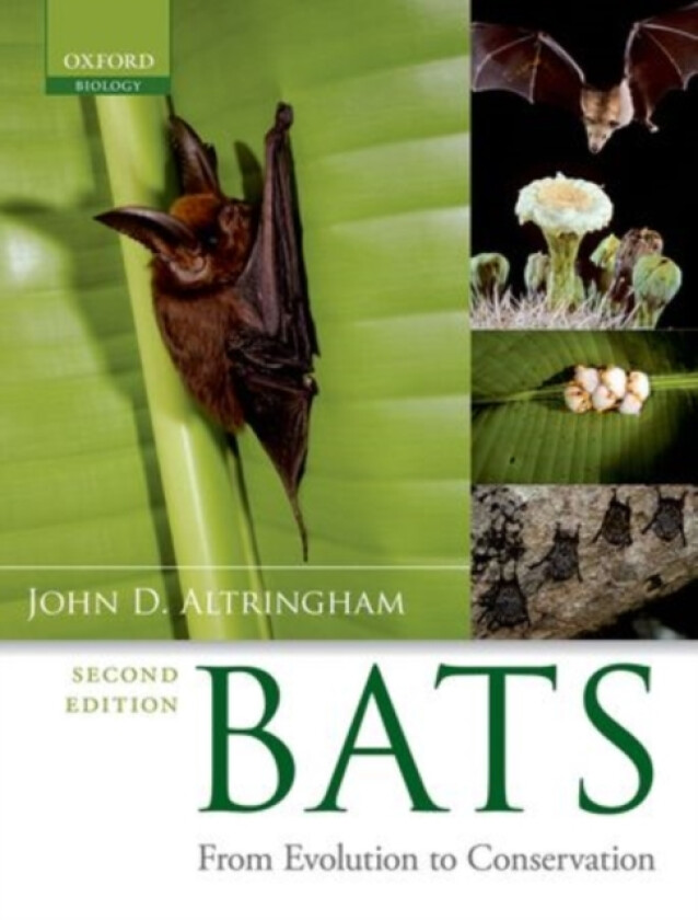 Bats av John D. Altringham (Paperback)