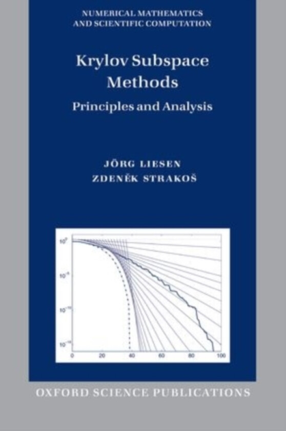 Krylov Subspace Methods av Jorg Liesen, Zdenek Strakos (Paperback)