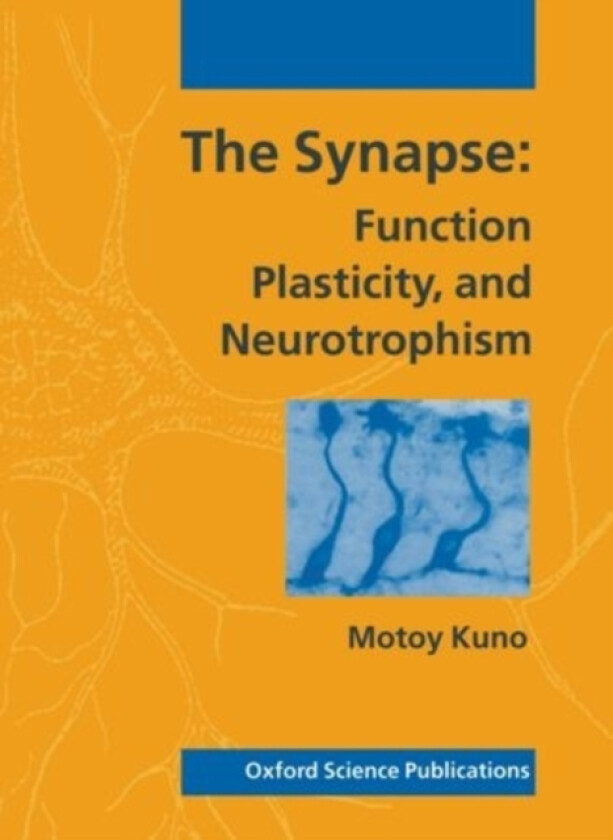 The Synapse av Motoy Kuno (Hardcover)