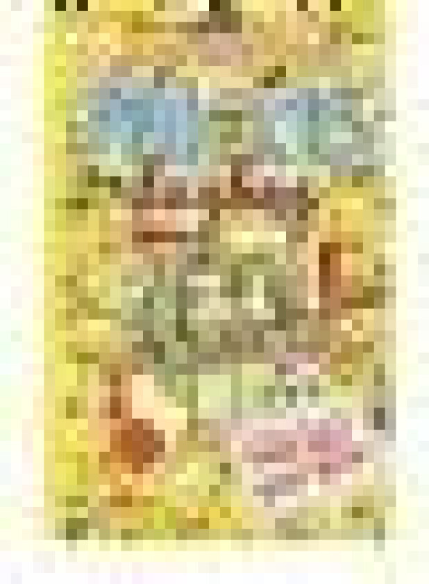 Nikkis dagbog 14: Historier fra en ik’ specielt god BFF Rachel Renee Russell Språk: Dansk