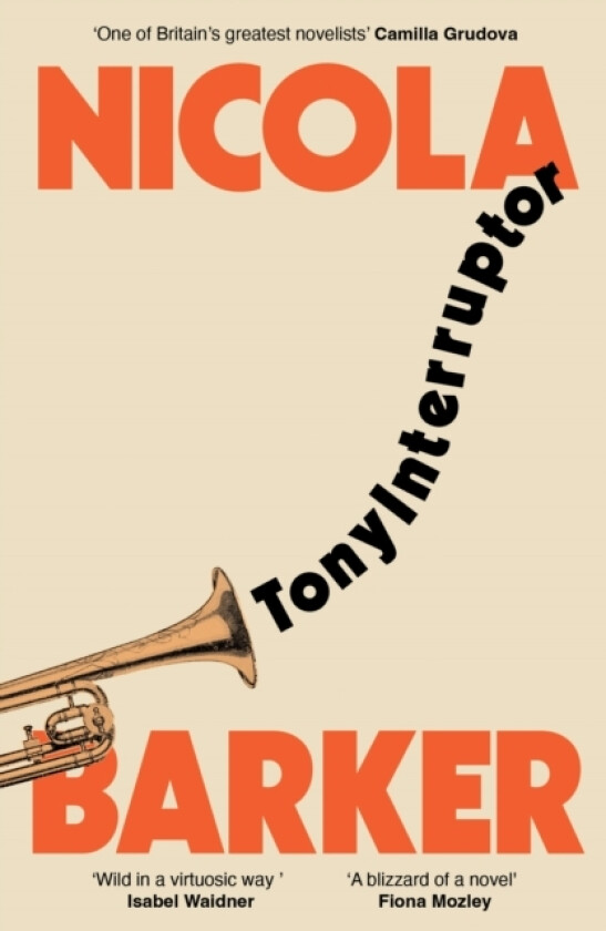 TonyInterruptor av Nicola Barker (Paperback)