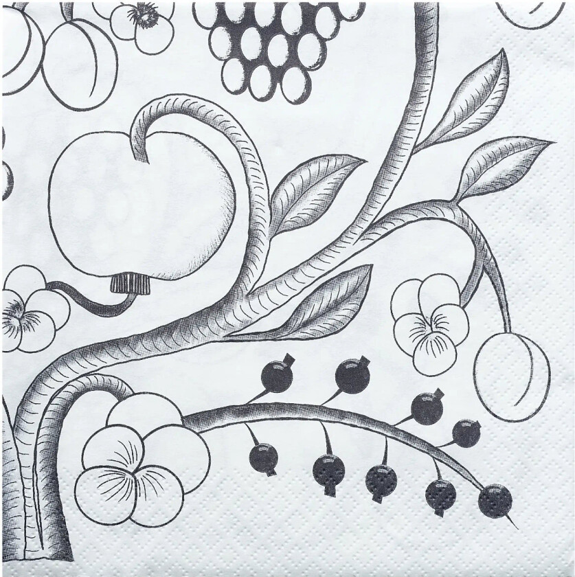 Kuovi Napkin Tarha - White - 24X24CM