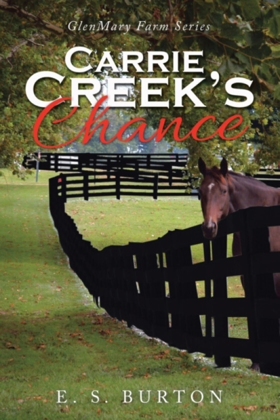 Carrie Creek's Chance av E S Burton (Paperback)