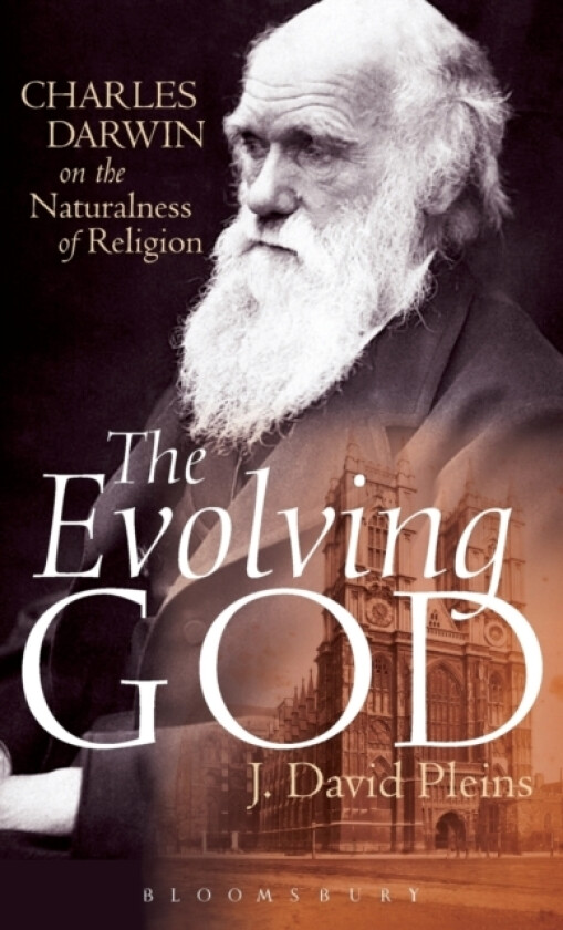 The Evolving God av Professor J.David Pleins (Hardcover)
