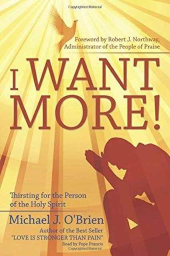 I Want More! av Professor Michael J O'Brien (Paperback)