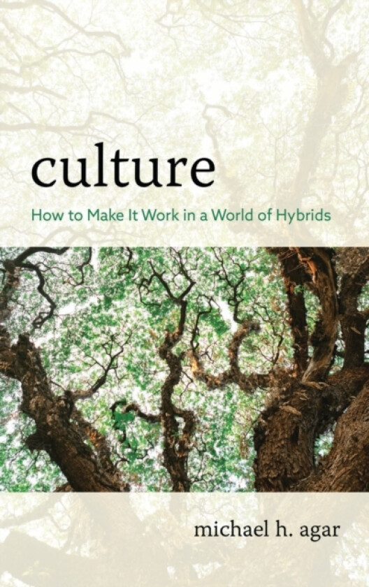Culture av Michael H. Agar (Hardcover)