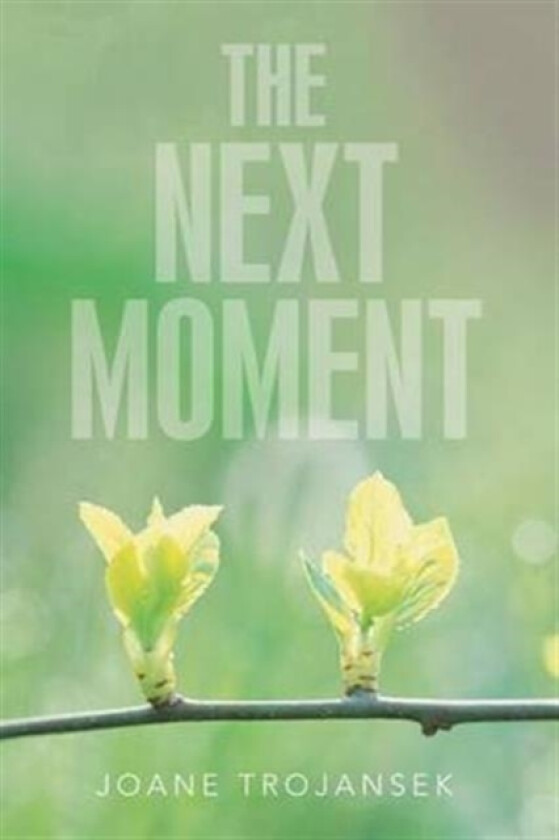 The Next Moment av Joane Trojansek (Paperback)