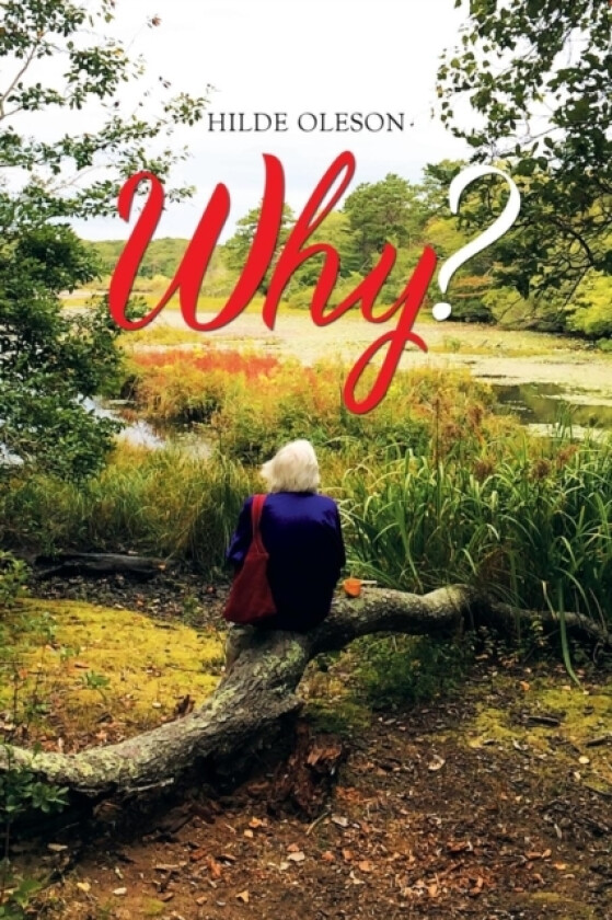 Why? av Hilde Oleson (Paperback)