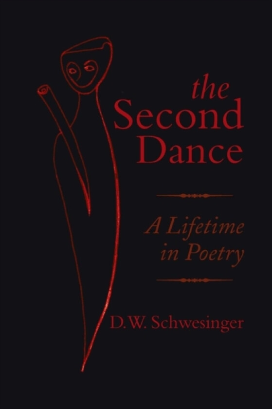The Second Dance av D W Schwesinger (Paperback)
