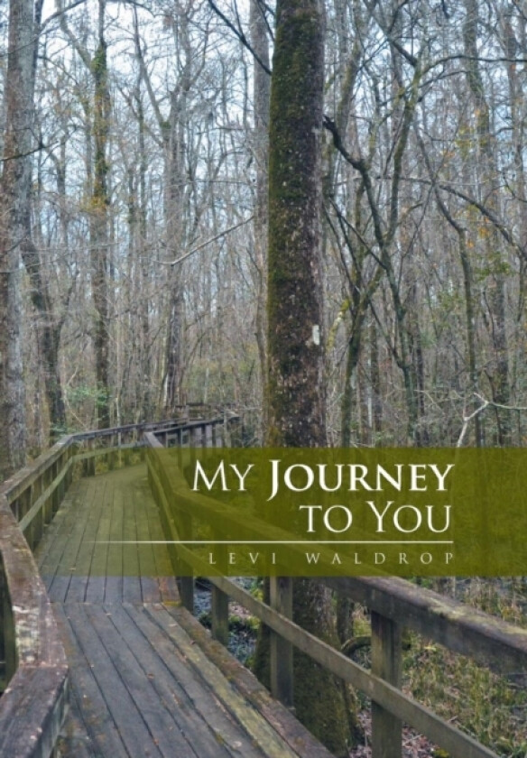 My Journey to You av Levi Waldrop (Hardcover)
