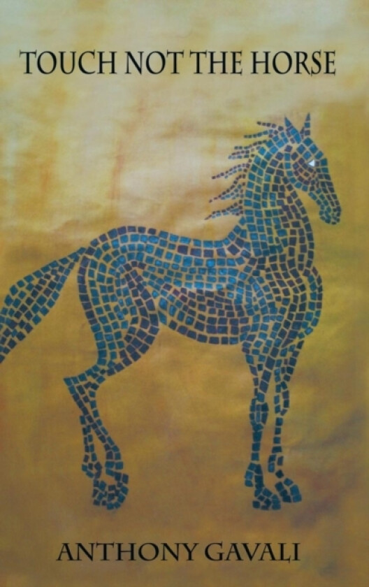 Touch Not the Horse av Anthony Gavali (Hardcover)