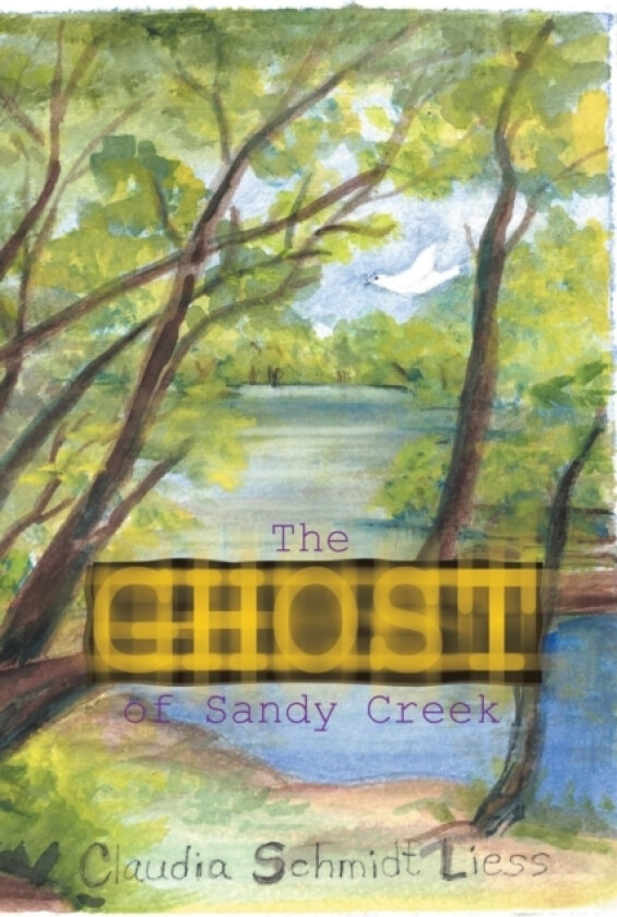 The Ghost of Sandy Creek av Claudia Schmidt Liess (Paperback)
