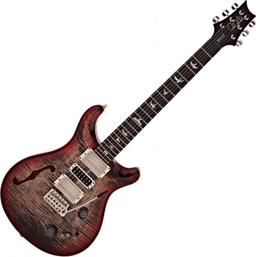 Paul Reed Smith PRS Special Semi Hollow Charcoal Cherry Burst #0343842