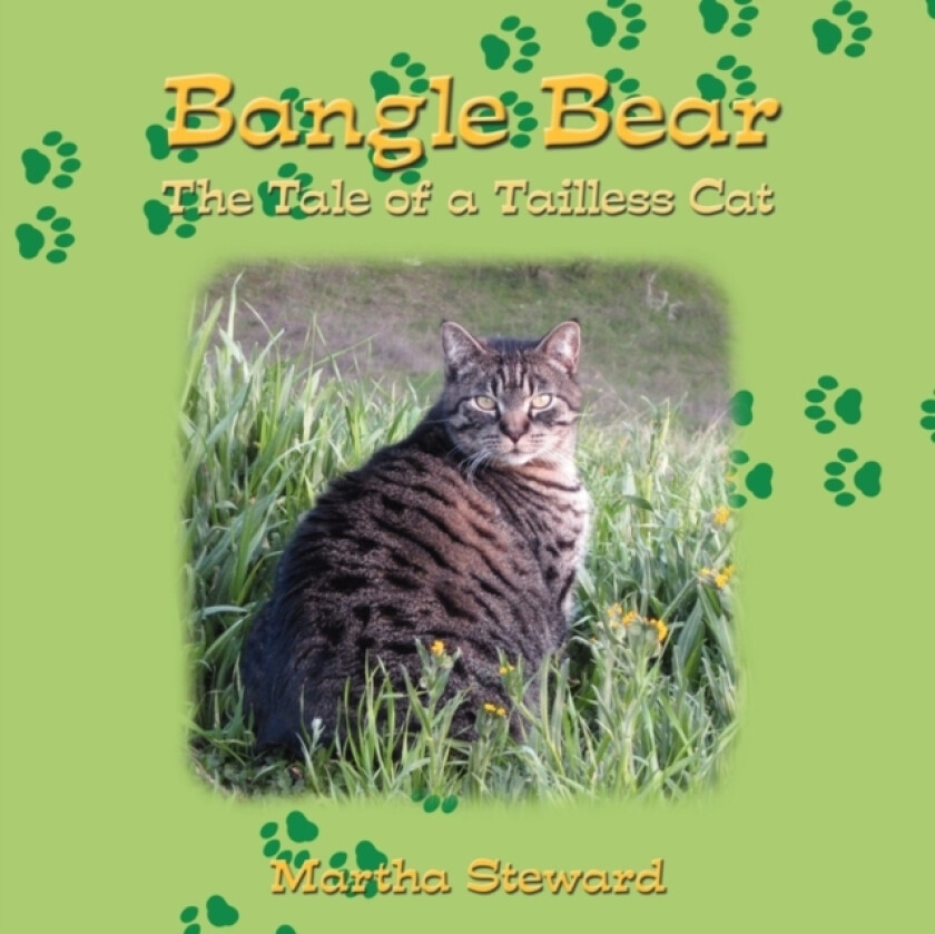 Bangle Bear av Martha Steward (Paperback)