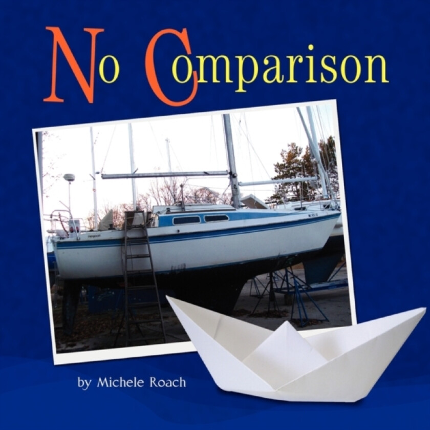 No Comparison av Michele Roach (Paperback)