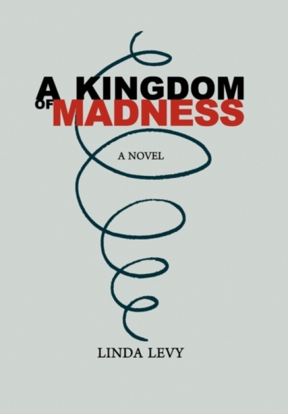 A Kingdom of Madness av Linda Levy (Hardcover)
