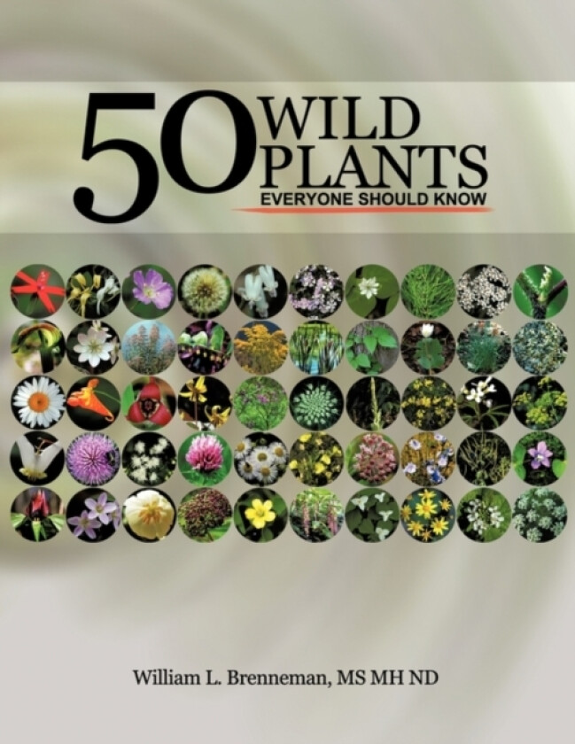 50 Wild Plants Everyone Should Know av William L. Brenneman MS MH ND (Paperback)