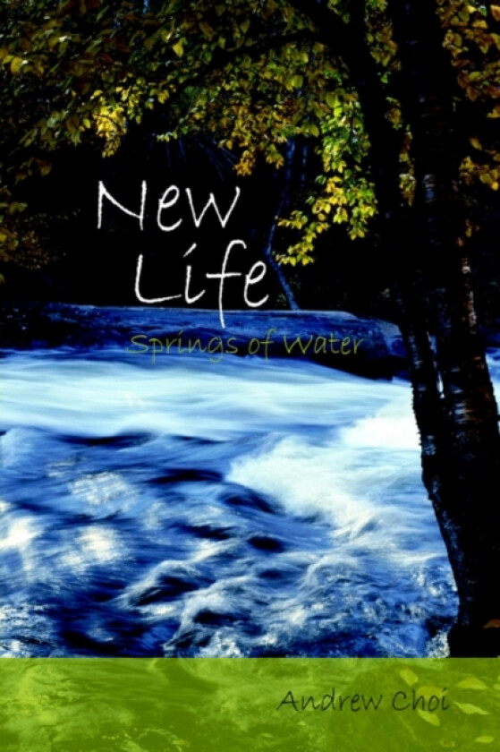 New Life av Andrew Choi (Paperback)