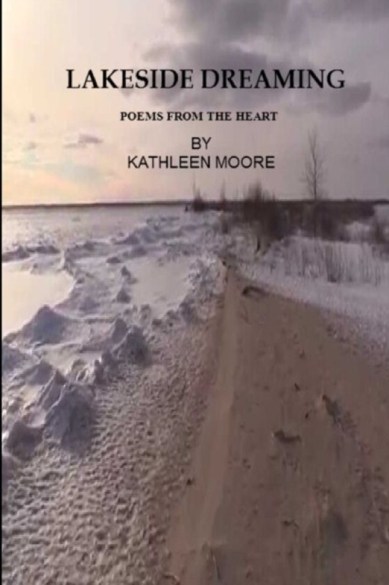Lakeside Dreaming av Kathleen Moore (Paperback)