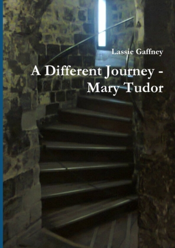A Different Journey - Mary Tudor av Lassie Gaffney (Paperback)