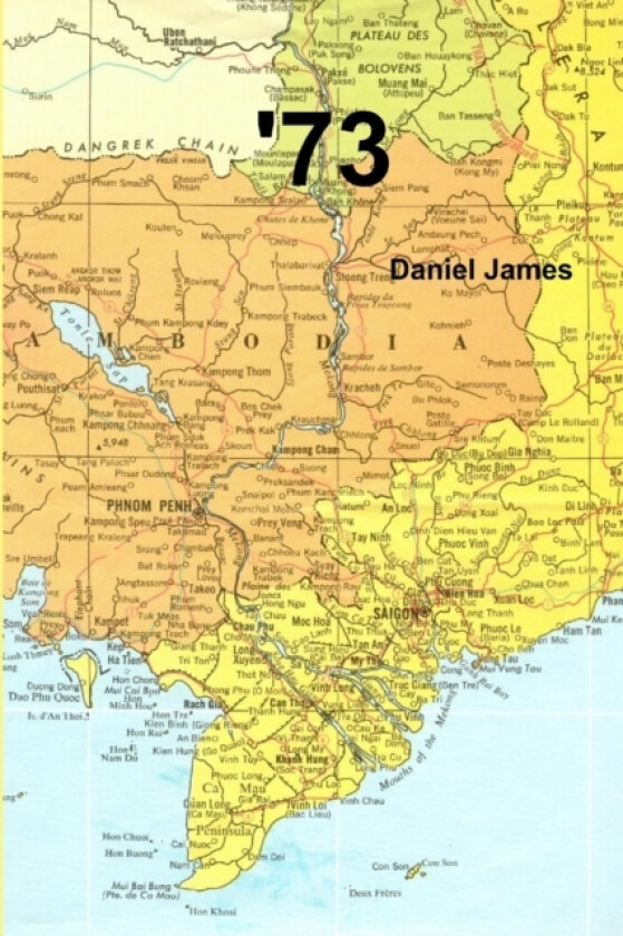 '73 av Daniel James (Paperback)